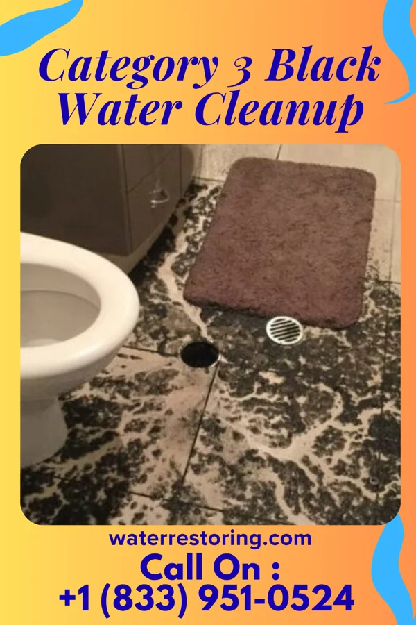 Category 3 Black Water Cleanup in Spicer, MN