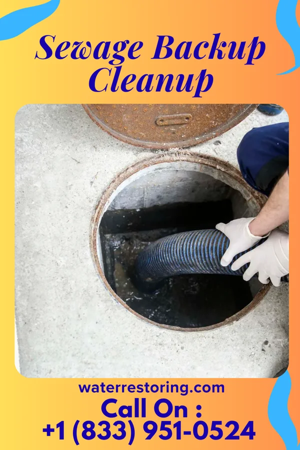 Sewage Backup Cleanup in Spicer, MN